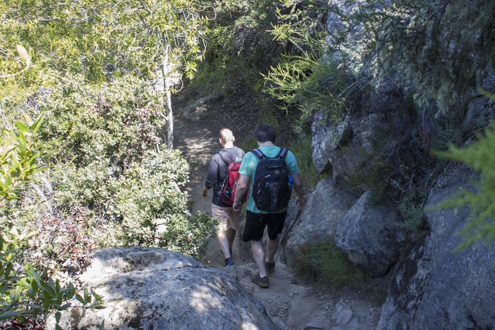 Picture of 160430 Castle Rock Hike